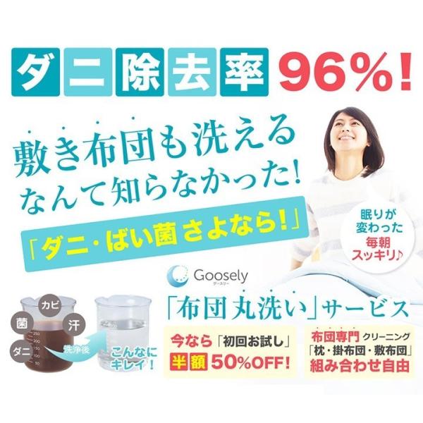 布団 ふとん クリーニング 宅配 丸洗い ダニ 対策 退治 グースリー ウォッシュ お試し1枚コース