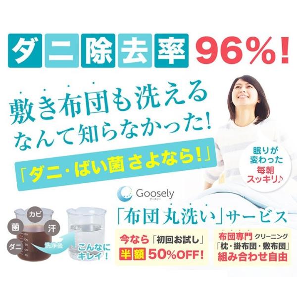 布団 ふとん クリーニング 宅配 丸洗い ダニ 対策 退治 グースリー ウォッシュ お試し2枚コース