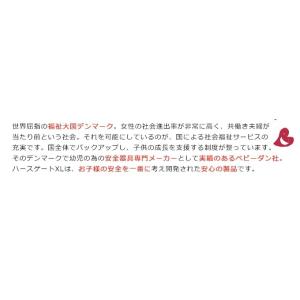 ベビーダン ハースゲートXL 薪ストーブ ガー...の詳細画像2