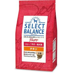 ベッツチョイス セレクトバランス パピー チキン 小粒 子犬・母犬用3kg｜shinharurikoshop