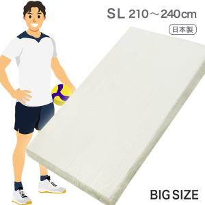 マットレス シングル ロング 日本製 100cm...の商品画像
