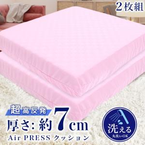 トゥルースリーパー（True Sleeper） お尻ラクラク座布団 腰痛 姿勢
