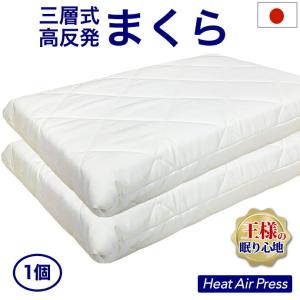 トゥルースリーパー（True Sleeper） 【茶箱発送】True Sleeper ネック