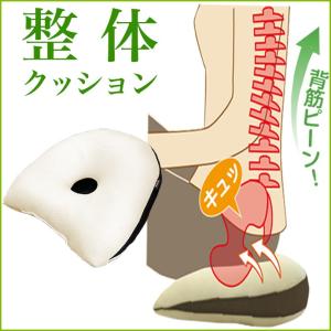 クッション 背筋キープ 約37×40cm 低反...の詳細画像2
