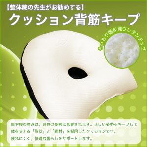 クッション 背筋キープ 約37×40cm 低反...の詳細画像3