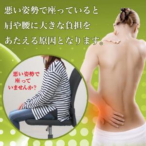 クッション 背筋キープ 約37×40cm 低反...の詳細画像4