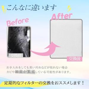 ISTORA 糸くずフィルター クズ取りネット...の詳細画像2