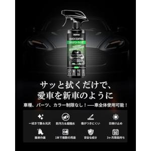 zepan car ガラスコーティング 自動車...の詳細画像2
