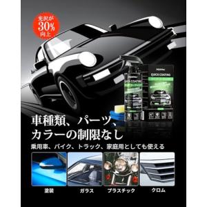 zepan car ガラスコーティング 自動車...の詳細画像3