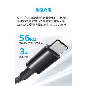 Anker 高耐久ナイロン USB-C &am...の詳細画像2