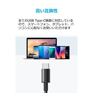 Anker 高耐久ナイロン USB-C &am...の詳細画像3
