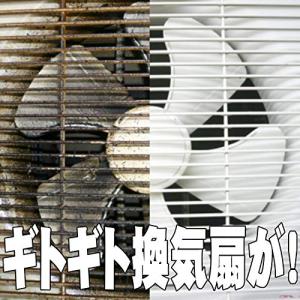 アルカリ電解水クリーナー 水ピカ 2Lの詳細画像2