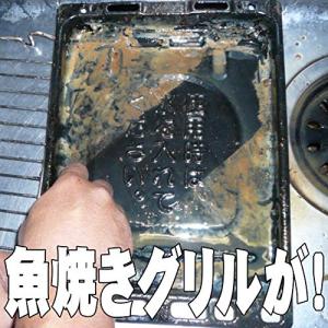 アルカリ電解水クリーナー 水ピカ 2Lの詳細画像3