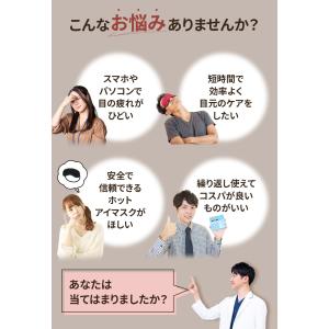 DocTrust パーフェクトアイケア ホット...の詳細画像2