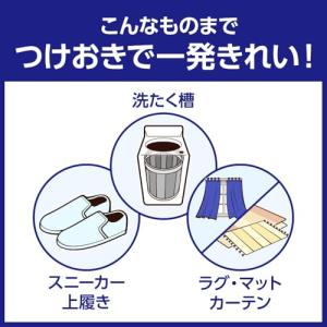 ワイドハイター PRO 衣料用漂白剤 パワフル...の詳細画像5