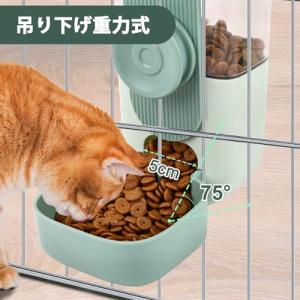 ペット 自動給餌器 自動給水器 えさやり器 犬...の詳細画像2