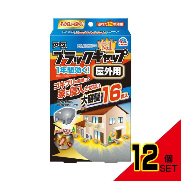 ブラックキャップ屋外用16個入 × 12点