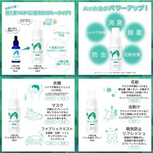 十美LAB ハッカ油スプレー 希釈タイプ バー...の詳細画像2