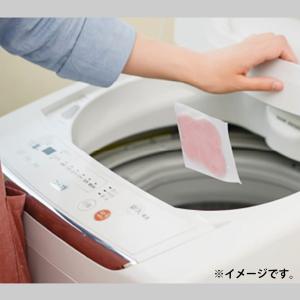 洗濯槽のカビ ちょうキレイ 1枚入の詳細画像4