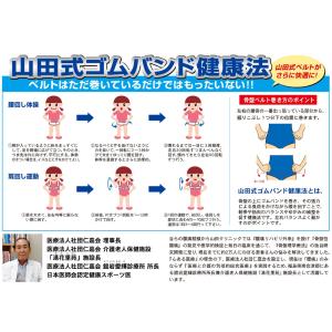 山田式 腰椎コルセット W加圧ベルト Mサイズ...の詳細画像4