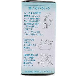 食品添加物 和種 ハッカ油 20mL × 120点の詳細画像3