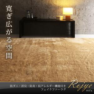ラグ 防ダニ・消臭・防炎・抗アレルギー機能付き...の詳細画像1