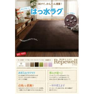 ラグ 厚みが選べる! はっ水ラグ 厚さ18mm...の詳細画像1
