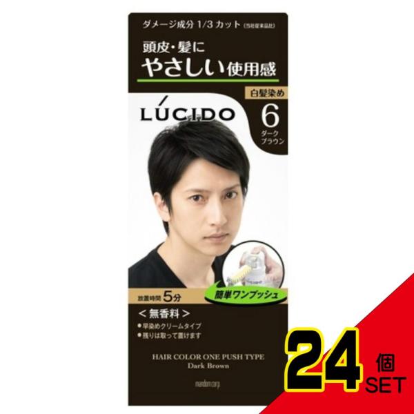 ルシードワンプッシュケアカラーダークブラウン × 24点