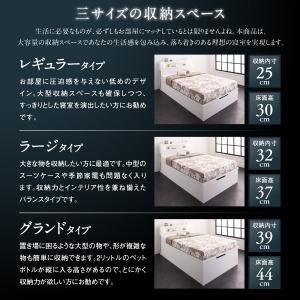 開店記念セール 送料無料 お客様組立 モダンライト大型跳ね上げ収納ベッド Cesario シザーリオ ベッドフレームのみ 縦開き キング Ss S 深さグランド 当店限定販売