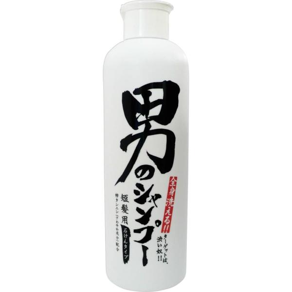 男のシャンプー300ML
