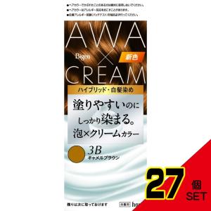 ビゲン泡クリームカラー3Bキャメルブラウン × 27点の商品画像