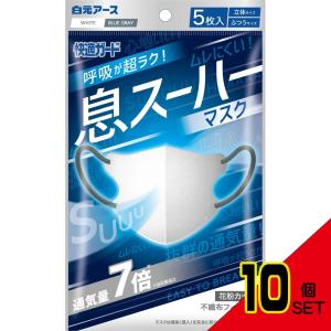 白元アース 快適ガード 息スーハーマスク 立体タイプ ふつうサイズ 5枚