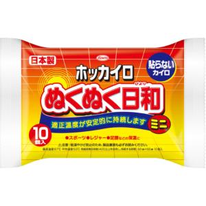 ホッカイロ ぬくぬく日和 貼らないミニ10個