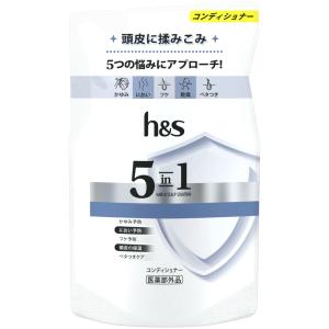 h&amp;s5in1コンデイショナーつめかえ