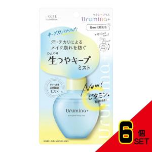 ウルミナプラス生つやキープミストV × 6点の商品画像