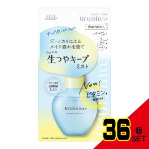 ウルミナプラス生つやキープミストV × 36点の商品画像