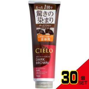 シエロカラートリートメント全体用ダークブラウン × 30点