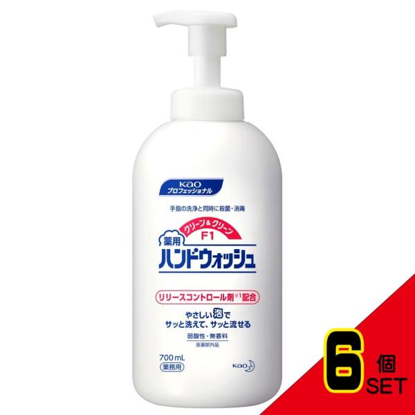 クリーン&amp;クリーンF1薬用ハンドウォッシュ業務用700ML × 6点