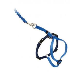 ペットセーフ イージーウォーク ネコ用ハーネス＆バンジーリード M ロイヤルブルー・EW-CH-M-...