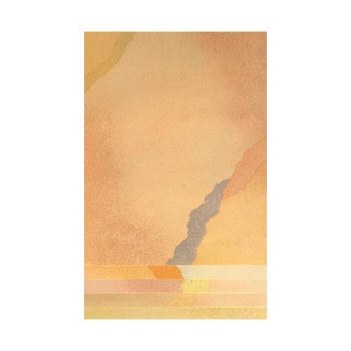 新料紙 玉鬘 細字 5色セット 半懐紙 50枚 AG28-2