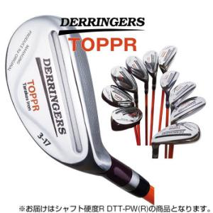 デリンジャートッパ(突破)タラコアイアン PW シャフト硬度R DTT-PW(R)