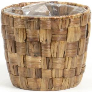 エスジーワンダーゾーン ヒヤシンスダ鉢5号用茶 369-50DB