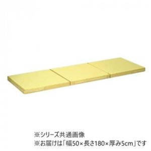 高田ベッド製作所 ポータルマット(三つ折り式ポータブルマット) 幅50×長さ180×厚み5cm アイ...
