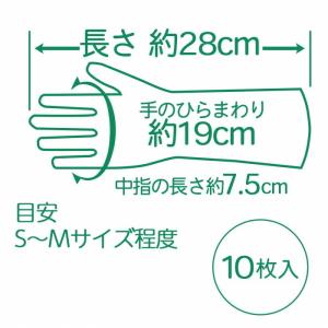 左右兼用薄型家庭用ゴム手袋(10枚入)の詳細画像5