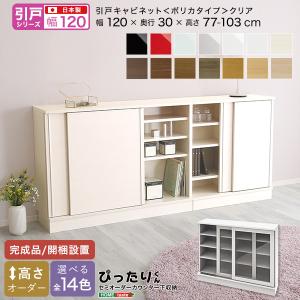 引戸シリーズ セミオーダーカウンター下収納ぴったりくん キャビネット(ポリカタイプ クリア) 幅120cm×奥行30cm｜shiningstore