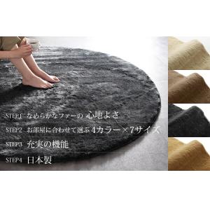 ラグ 防ダニ・消臭・防炎・抗アレルギー機能付き...の詳細画像2