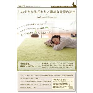 ラグ ラビットファータッチマイクロファイバーラ...の詳細画像3