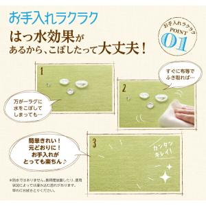 ラグ 厚みが選べる! はっ水ラグ 厚さ5mm ...の詳細画像2