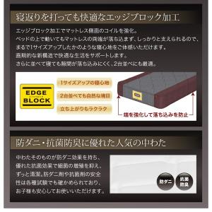 家族で一緒に過ごす棚 ライト コンセント付きファミリーローベッド