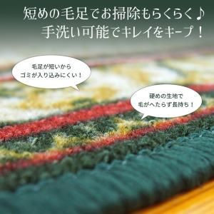 タフトプリント廊下敷き アイラス 67×180cmの詳細画像2
